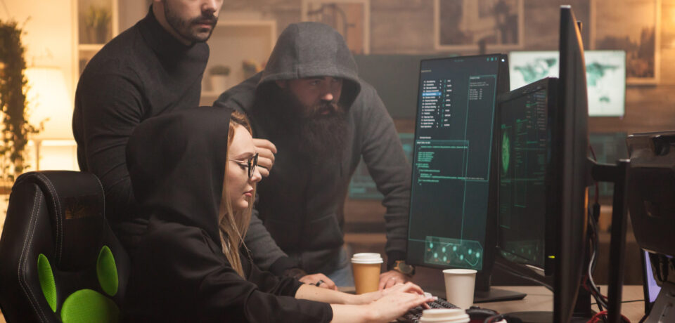Team of hackers hired by government to test their firewall Team of hackers hired by government to test their firewall with dangerous malware. Female hacker.